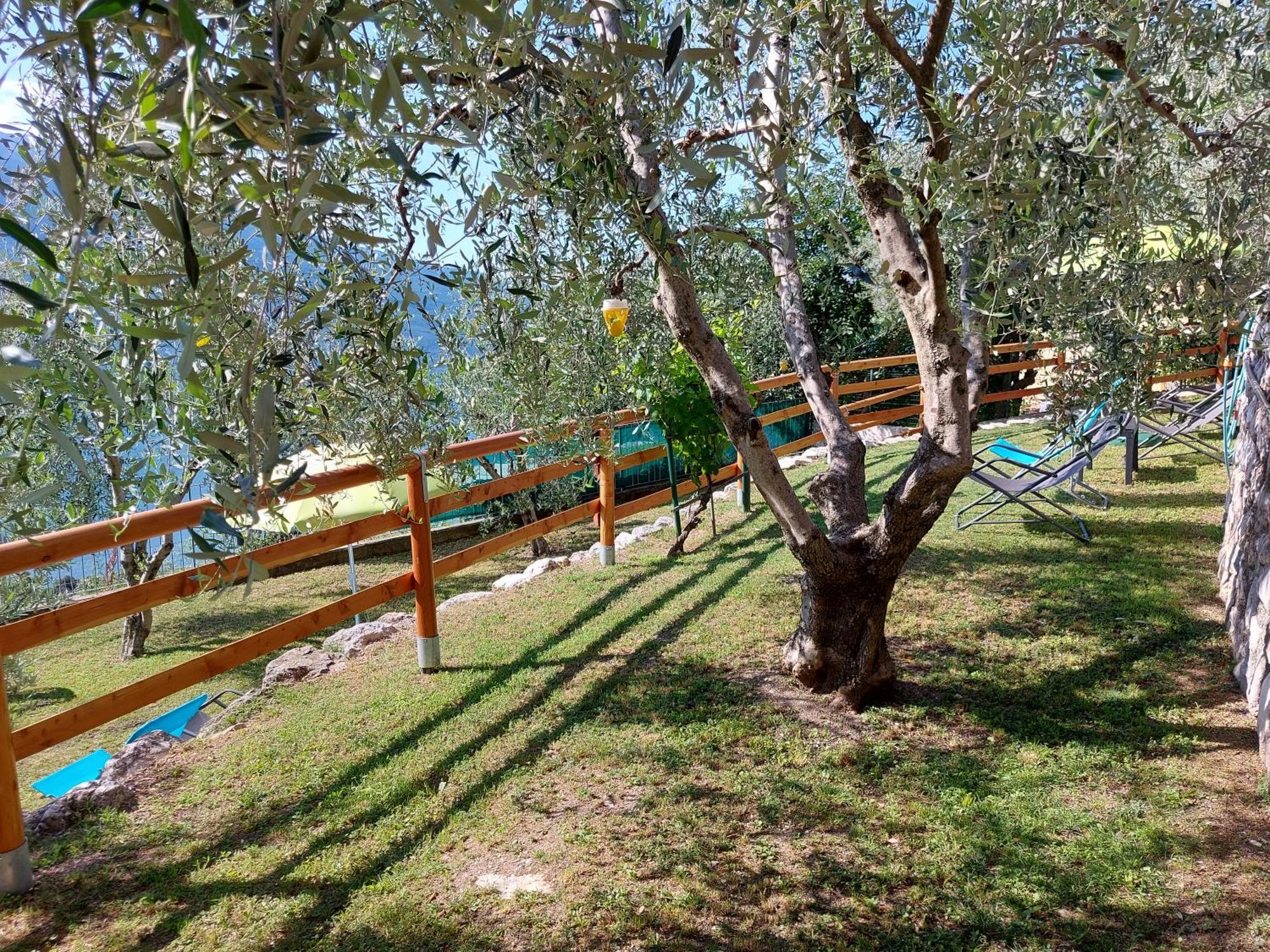 Апартаменты Ulivi Sul Garda Garden By Gardadomusmea Tremosine Экстерьер фото