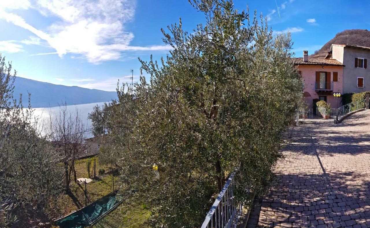 Апартаменты Ulivi Sul Garda Garden By Gardadomusmea Tremosine Экстерьер фото