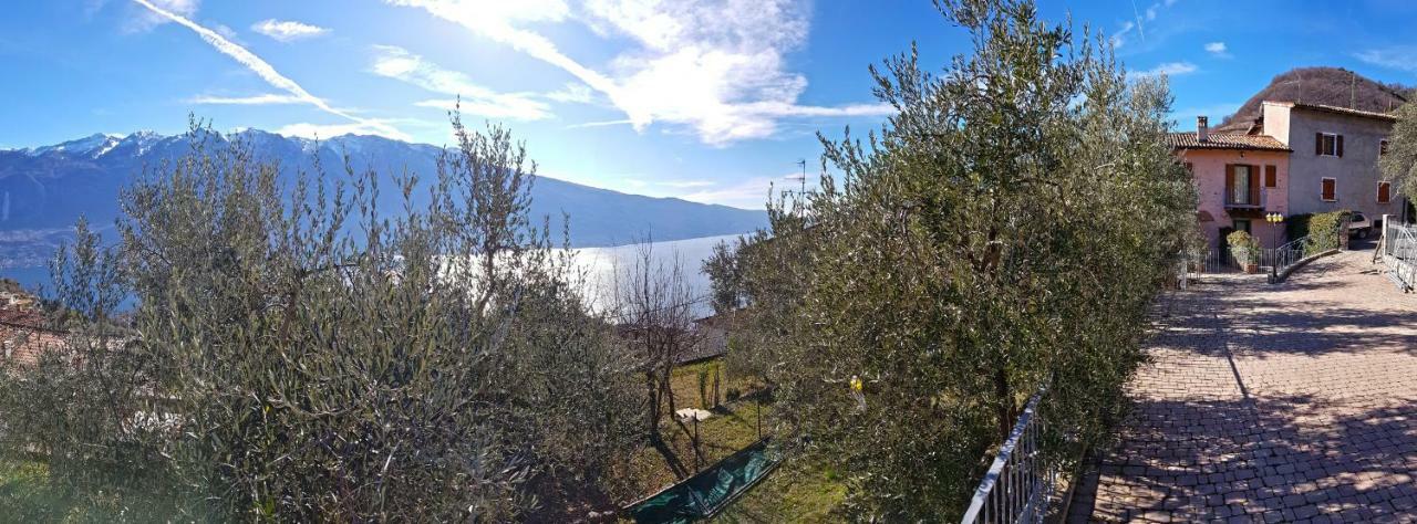 Апартаменты Ulivi Sul Garda Garden By Gardadomusmea Tremosine Экстерьер фото